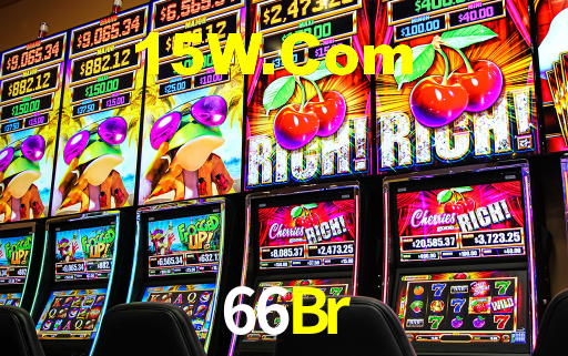 Programa VIP 66Br
